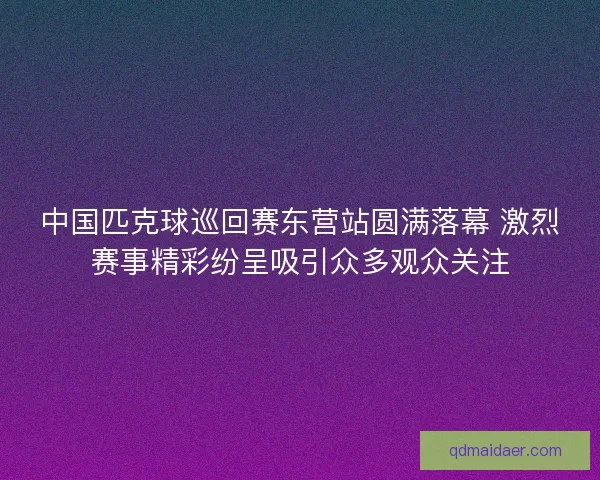 中国匹克球巡回赛东营站圆满落幕 激烈赛事精彩纷呈吸引众多观众关注