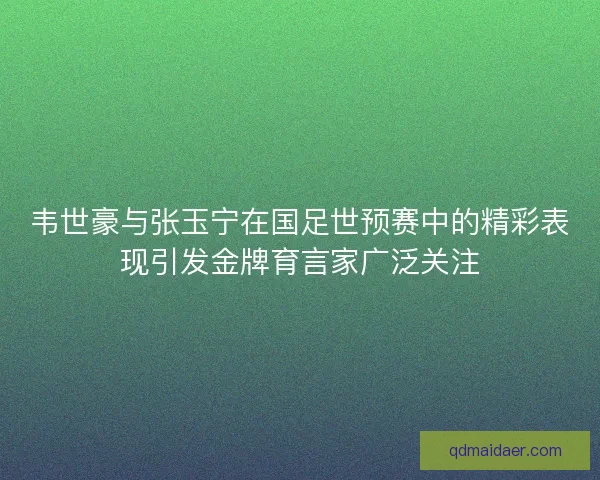 韦世豪与张玉宁在国足世预赛中的精彩表现引发金牌育言家广泛关注