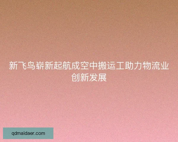 新飞鸟崭新起航成空中搬运工助力物流业创新发展